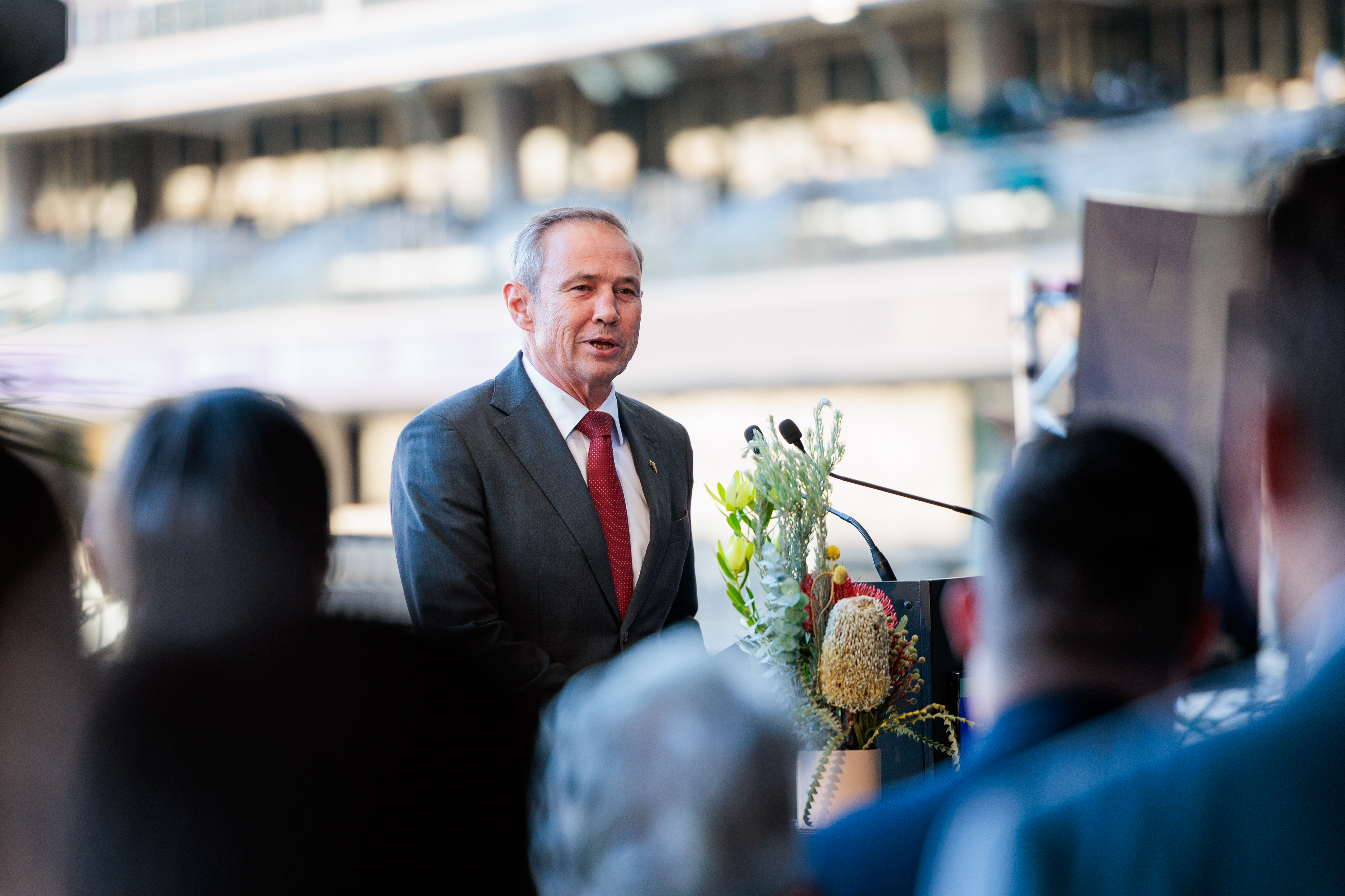 Web Article - Premier